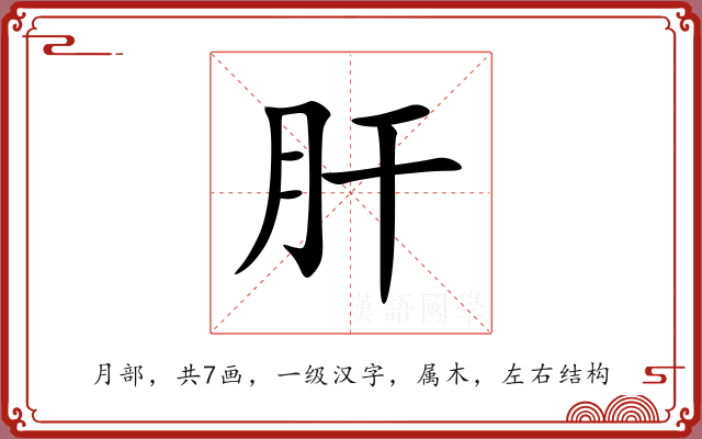 肝 肝