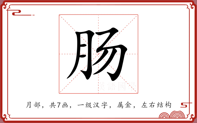 肠 肠
