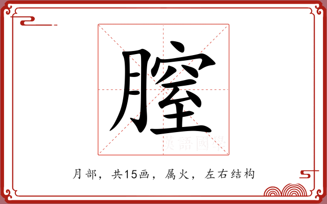 膣 膣
