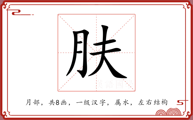 肤