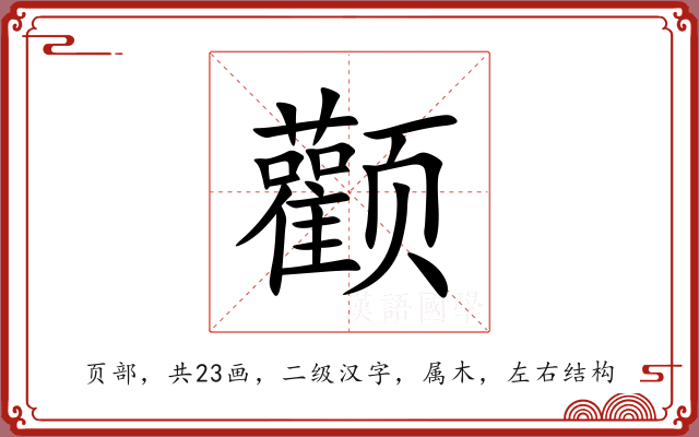 颧