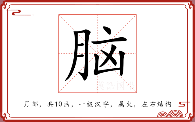 脑 脑