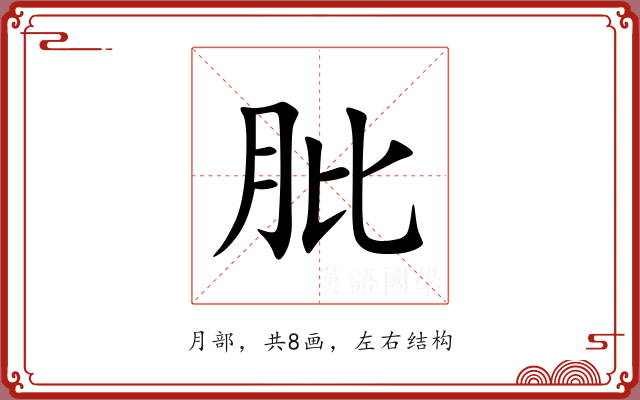 肶 肶