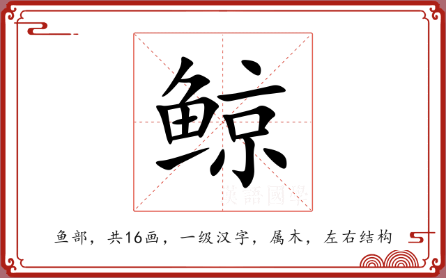 鲸 鲸