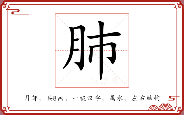 肺