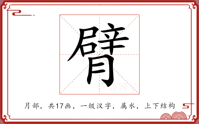 臂 臂
