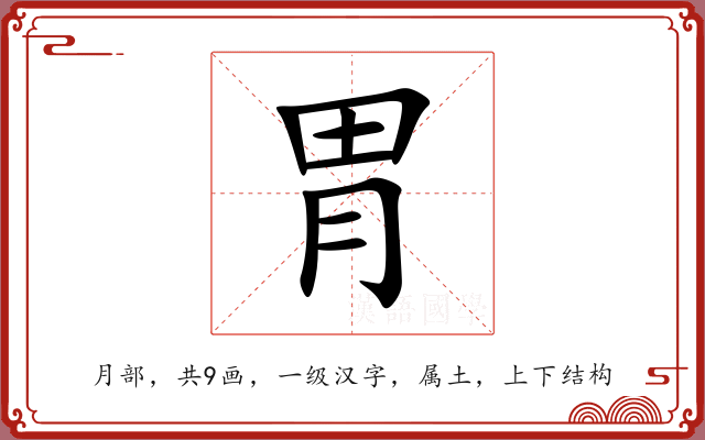 胃 胃