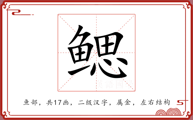 鳃 鳃