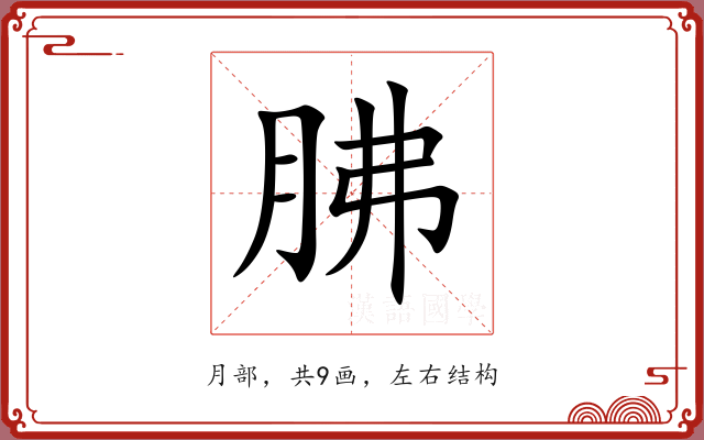 胇 胇