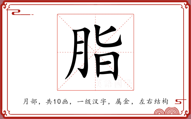 脂 脂