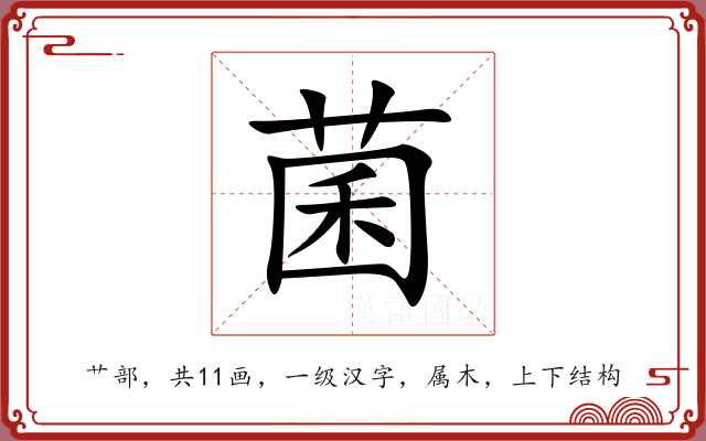 菌 菌