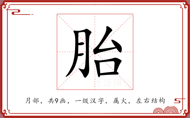 胎 胎