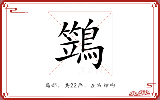 鷑