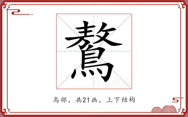 鷔
