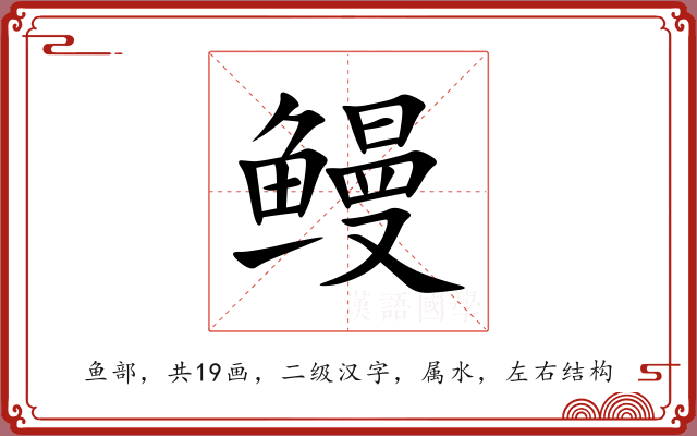 鳗