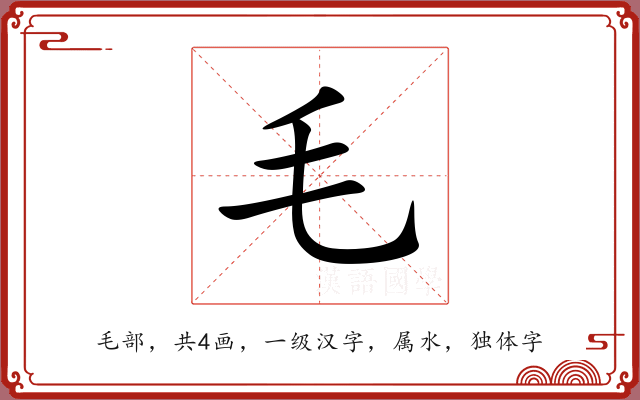 毛 毛