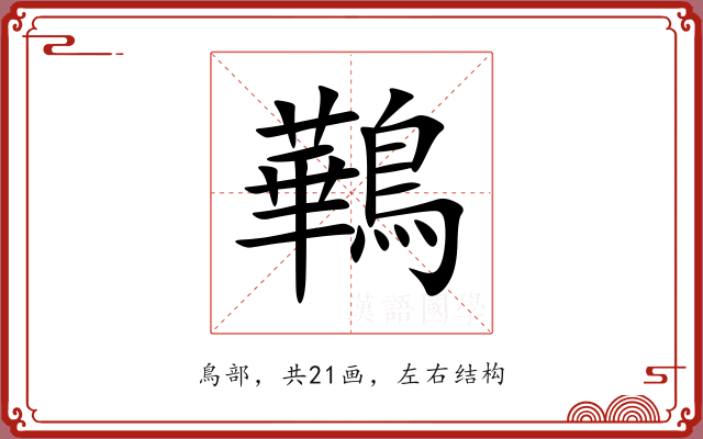 鷨