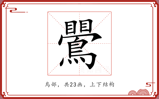 鷪