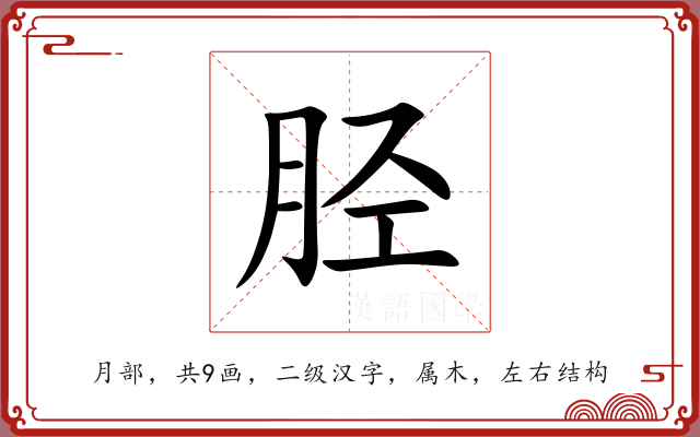 胫