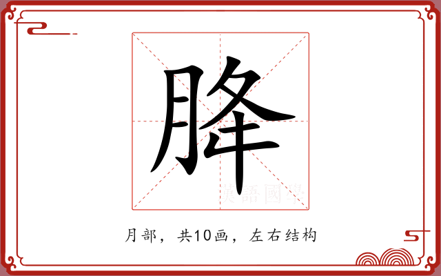 胮