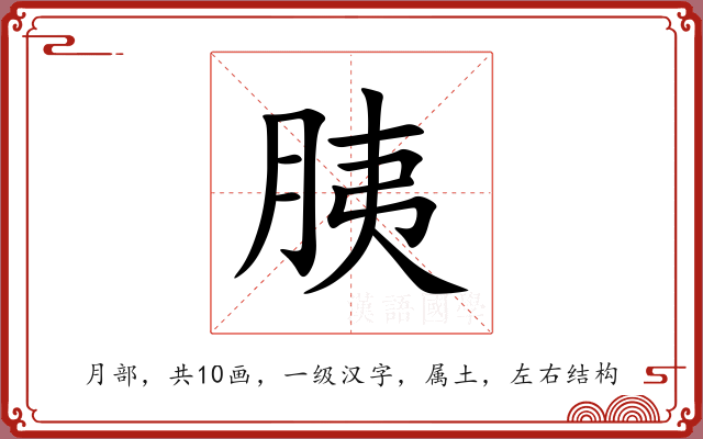 胰 胰