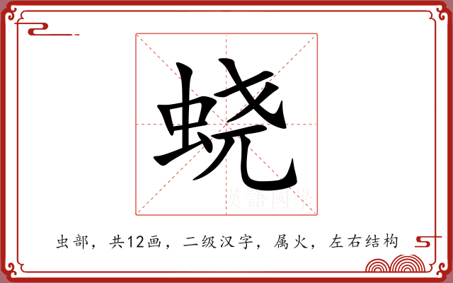 蛲