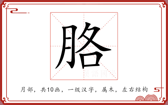 胳 胳