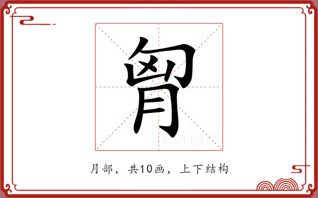胷 胷