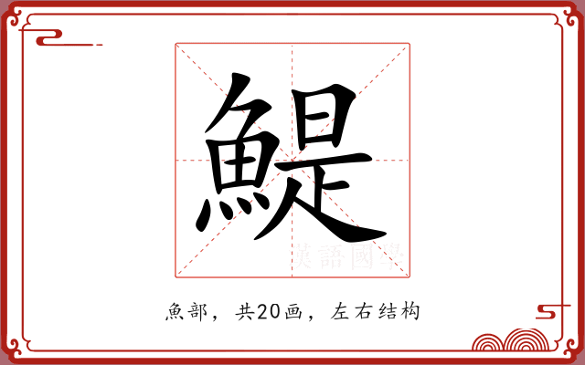 鯷 鯷