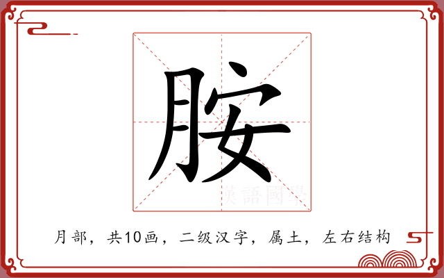 胺 胺
