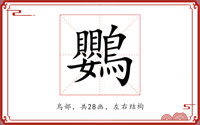 鸚