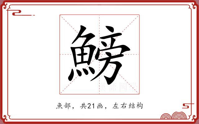 鰟