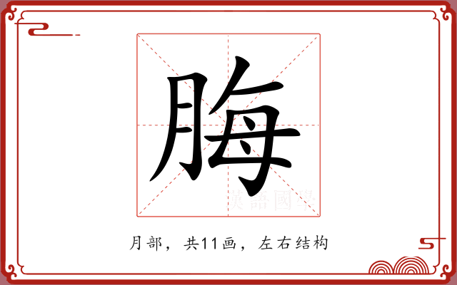脢 脢
