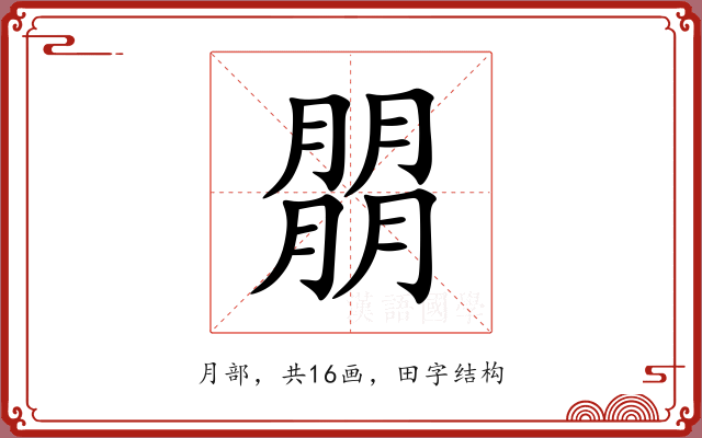 朤