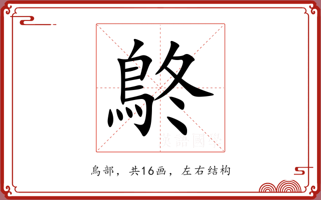鴤