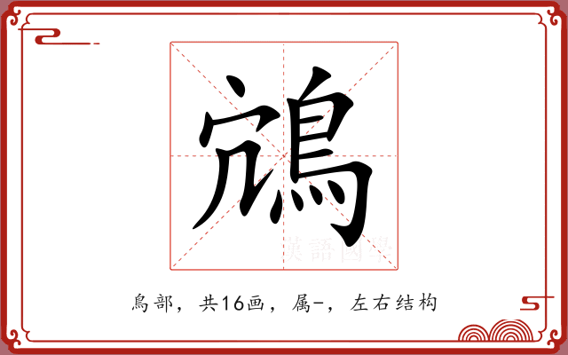 鴧