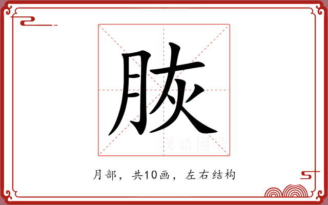 脄 脄