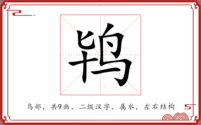 鸨 鸨