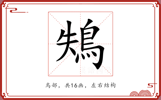 鴩