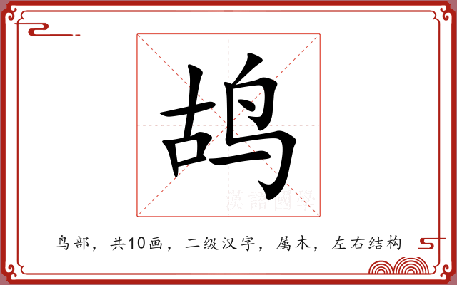 鸪