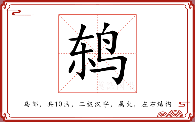 鸫
