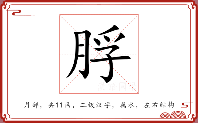 脬