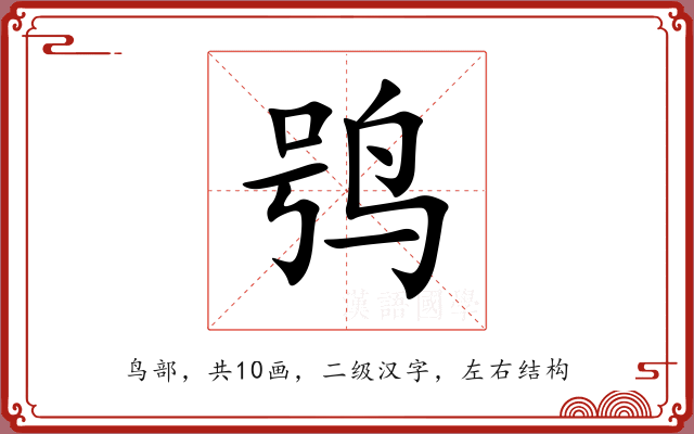 鸮