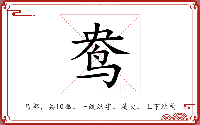 鸯