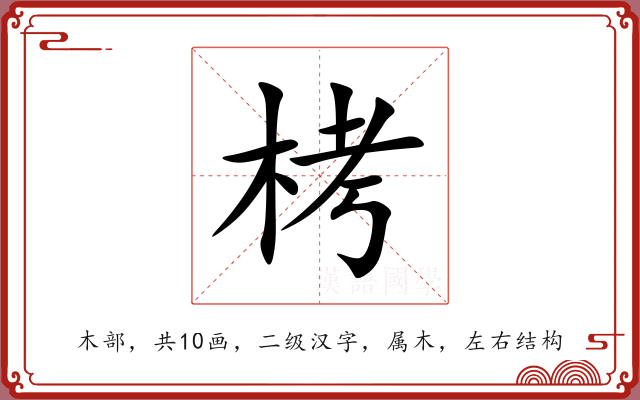 栲 栲