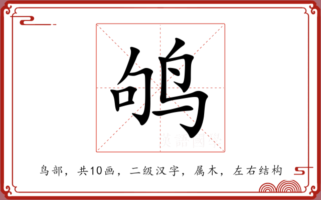 鸲