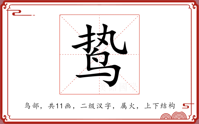鸷
