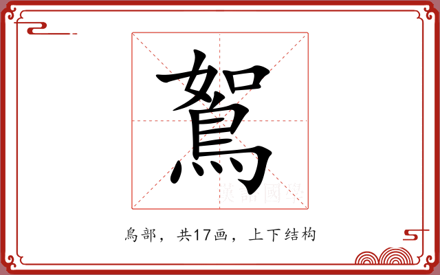 鴽 鴽