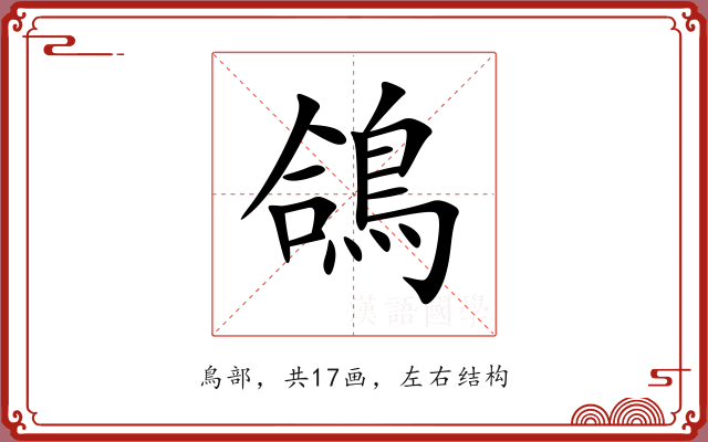 鴿 鴿
