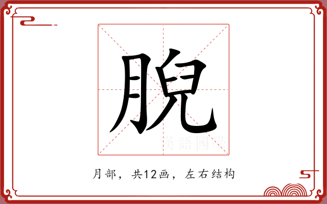 腉 腉